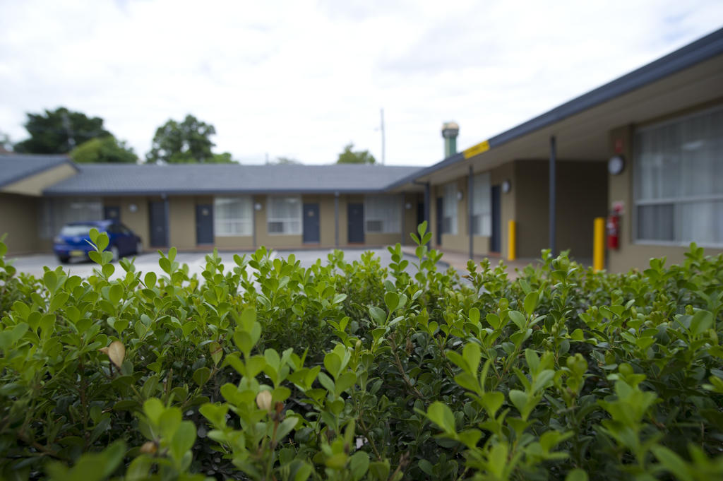 Noah'S Mid City Motor Inn Muswellbrook Eksteriør billede